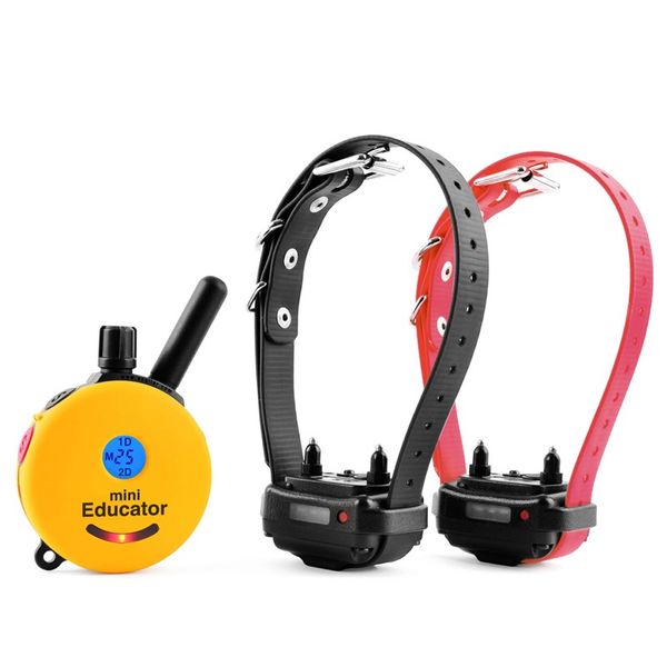 E-Collar Technologies ET-302 Two Dog Mini Educator