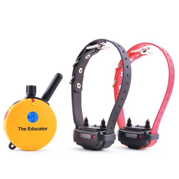 E-Collar Technologies ET-402 Two Dog Educator