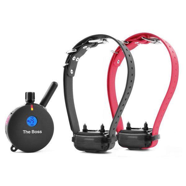 E-Collar Technologies ET-802 Two Dog “The Boss”